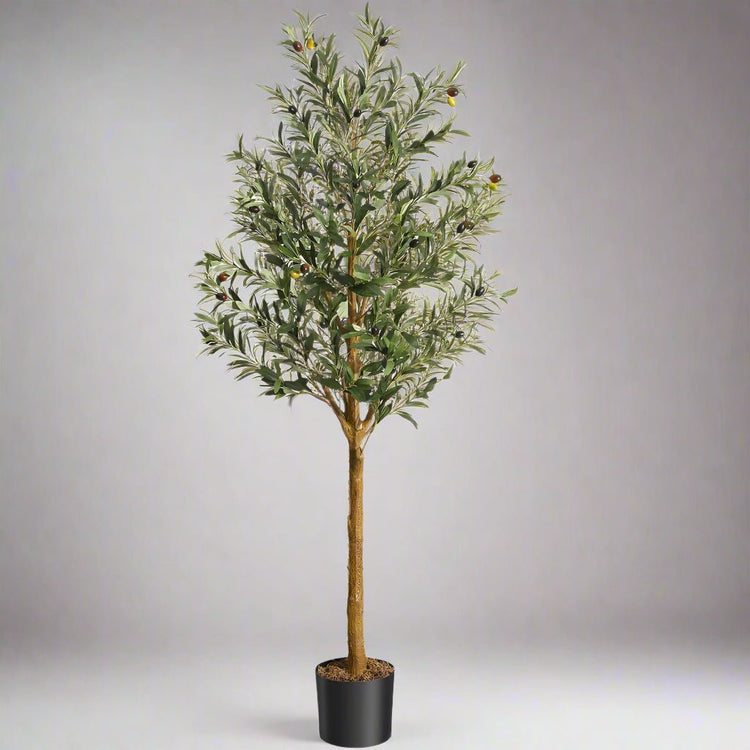 Artificial Olive Tree - Realistic Home Decor Plant - Bizaargo