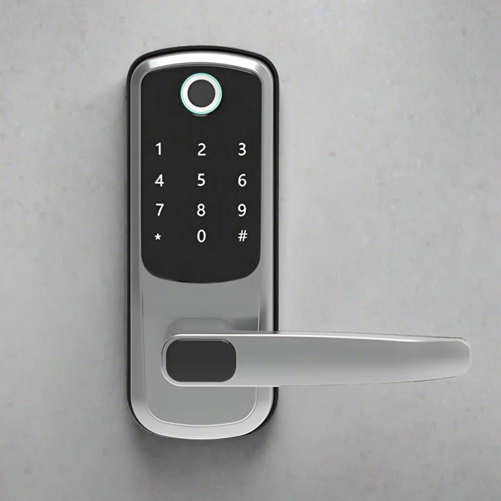 Smart Fingerprint Door Lock - TTLOCK WiFi Keyless Entry - Bizaargo