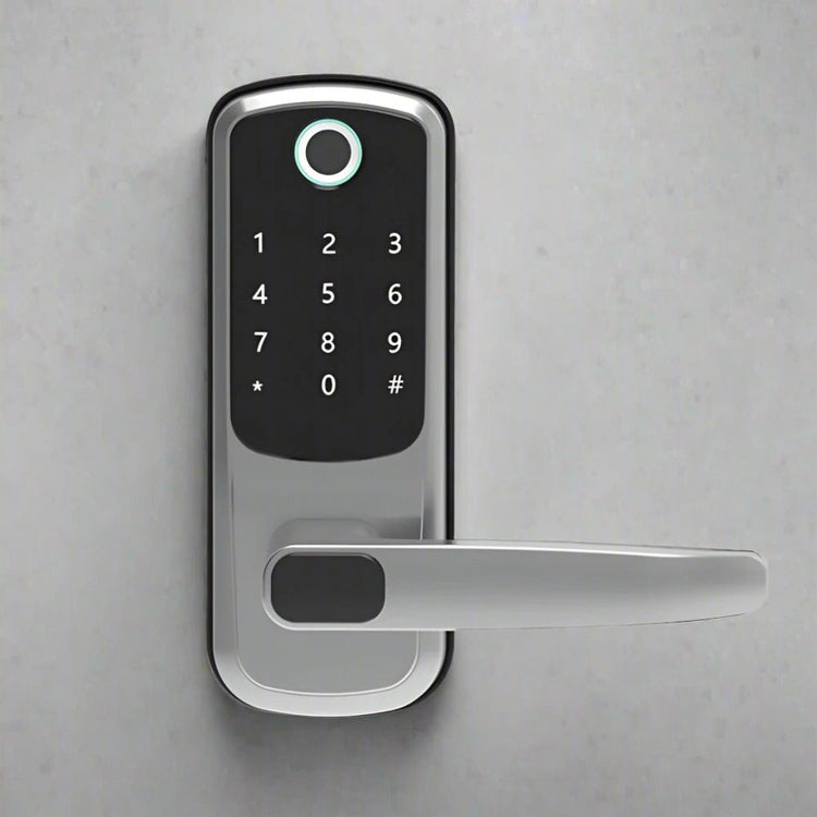 Smart Fingerprint Door Lock - TTLOCK WiFi Keyless Entry - Bizaargo