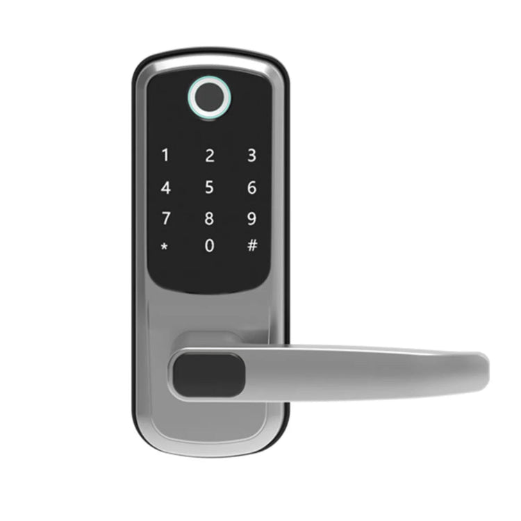 Smart Fingerprint Door Lock - TTLOCK WiFi Keyless Entry - Bizaargo